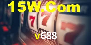 Programa VIP v688